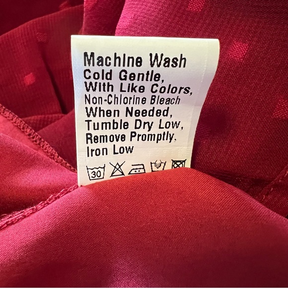 NWT, BTFBM V-Neck Maxi Dress with a Sheer Swiss Dot Overlay and Tie, Size Medium - Picture 14 of 15